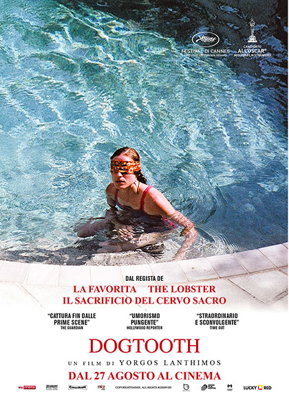 DOGTOOTH