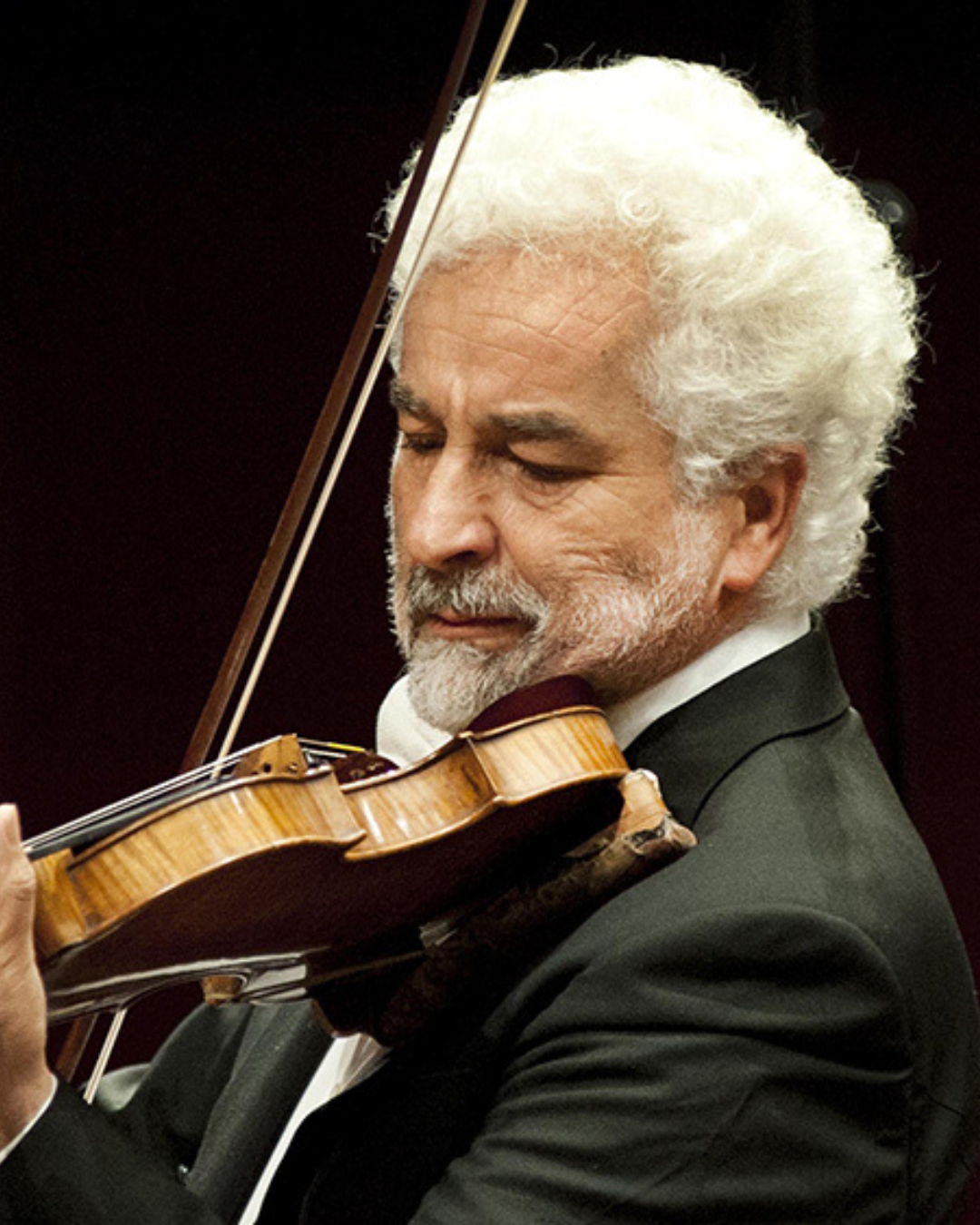 ANDREA TACCHI