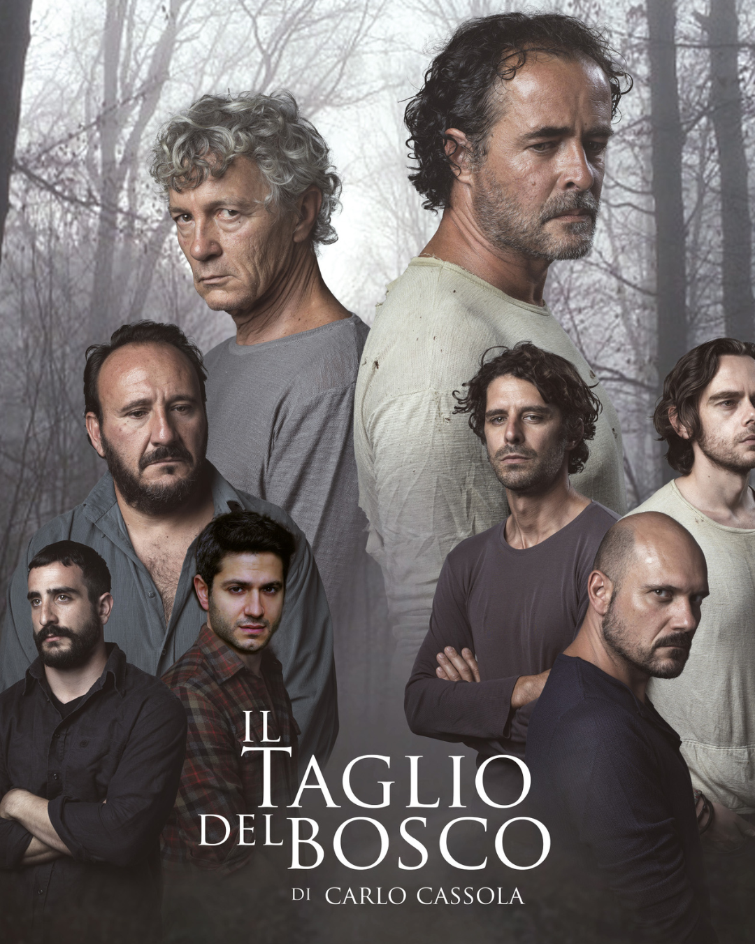 il taglio nel boasco
